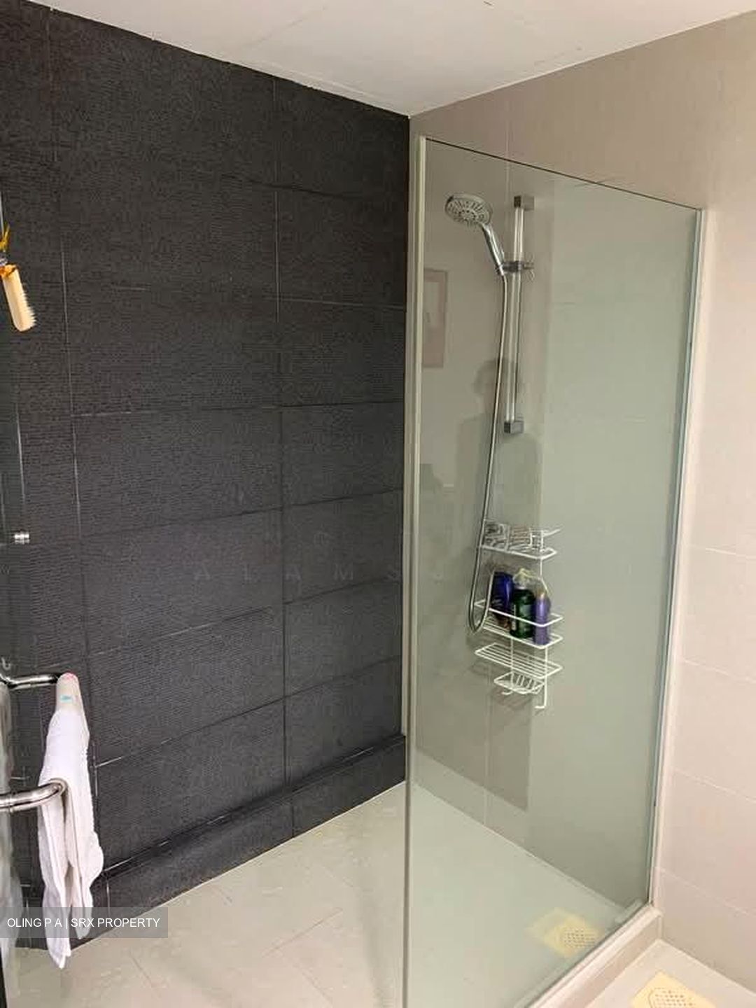 Cairnhill Plaza (D9), Apartment #584423791